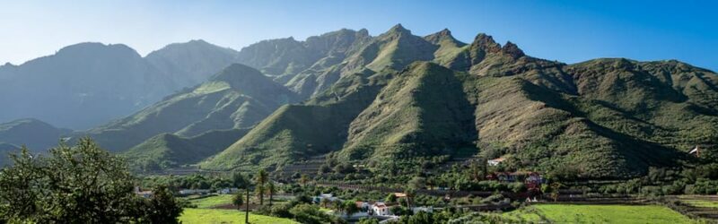 To Gáldar, Moya, Firgas, Coffee and Wine Tasting, and Puerto de las Nieves - Introduction: Why This Tour Stands Out
