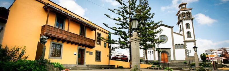 To Gáldar, Moya, Firgas, Coffee and Wine Tasting, and Puerto de las Nieves - Agaete Valley: A Working Farm and Tropical Flavors