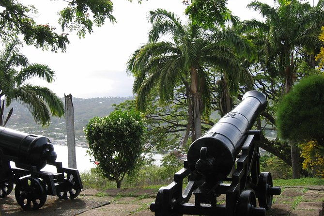 tobago-buccoo-reef-glass-bottom-boat-cruise-and-island-sightseeing-tour