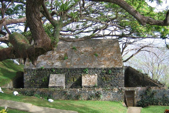 tobago-buccoo-reef-glass-bottom-boat-cruise-and-island-sightseeing-tour