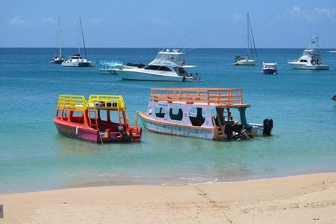 tobago-buccoo-reef-glass-bottom-boat-cruise-and-island-sightseeing-tour