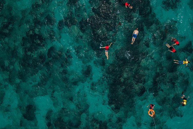 tobago-buccoo-reef-glass-bottom-boat-tour