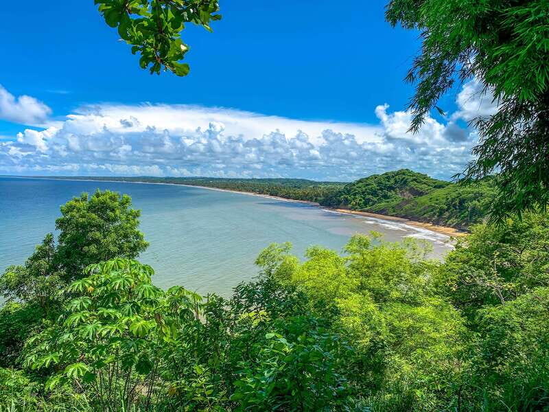 Tobago: Island Circle - A Detailed Look at Tobago’s Island Circle Tour