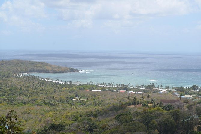 tobago-island-tour-2