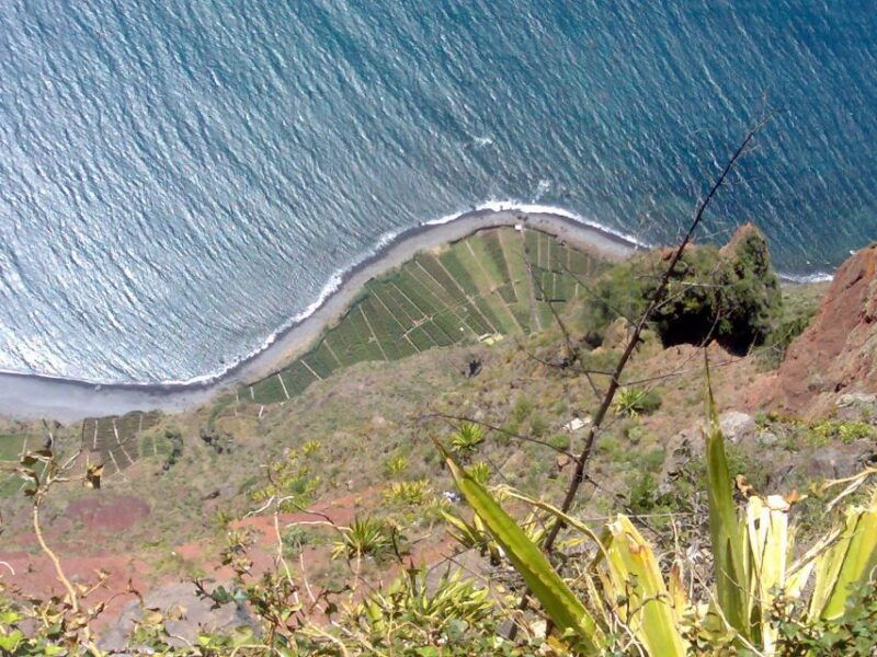 toboggan-ride-madeira-wine-tasting-tour