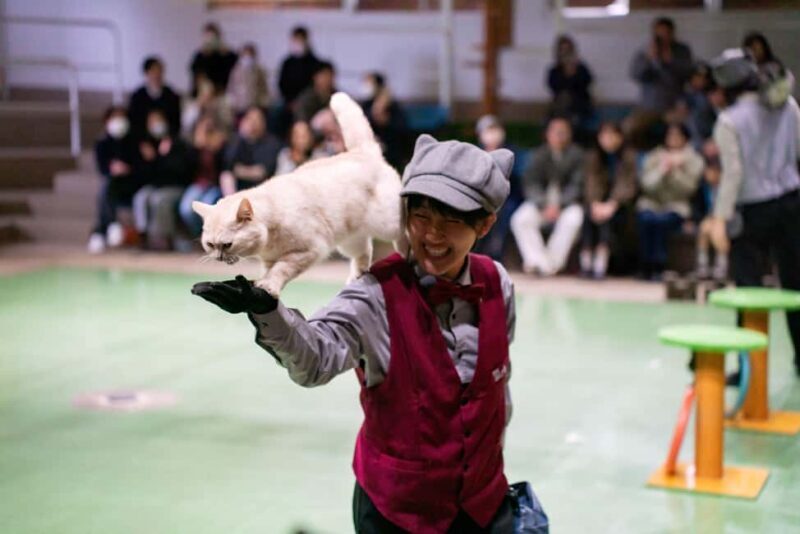 Tochigi: Nasu Animal Kingdom Entry Ticket - Key Points