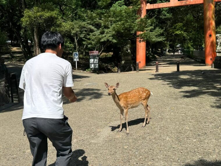 todai-ji-temple-guided-tour