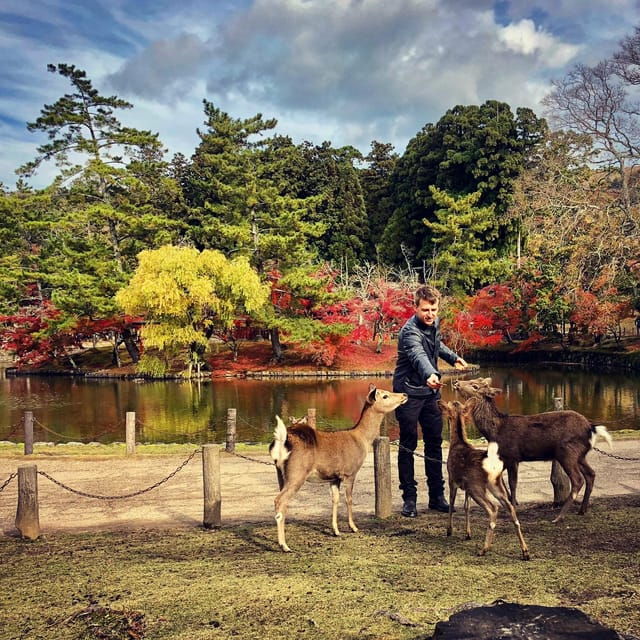 todaiji-temple-kasuga-shrine-and-nara-park-guided-tour