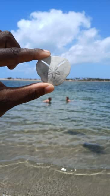 Tofo: Pansy Island and Pigs Island Day Trip - Key Points