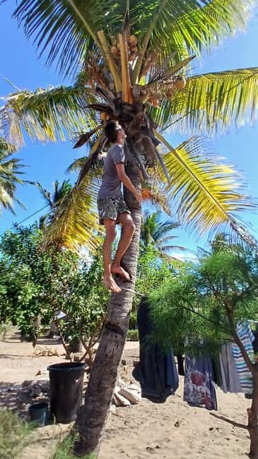 Tofo: Pansy Island and Pigs Island Day Trip - Practical Considerations