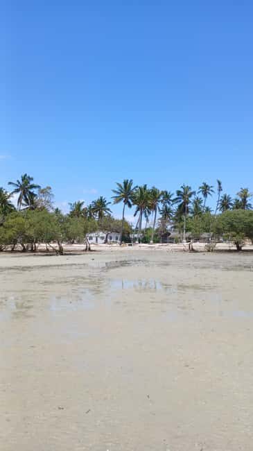 Tofo: Pansy Island and Pigs Island Day Trip - Who Will Love This Tour?
