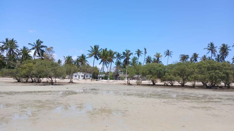 Tofo: Pansy Island and Pigs Island Day Trip - FAQ