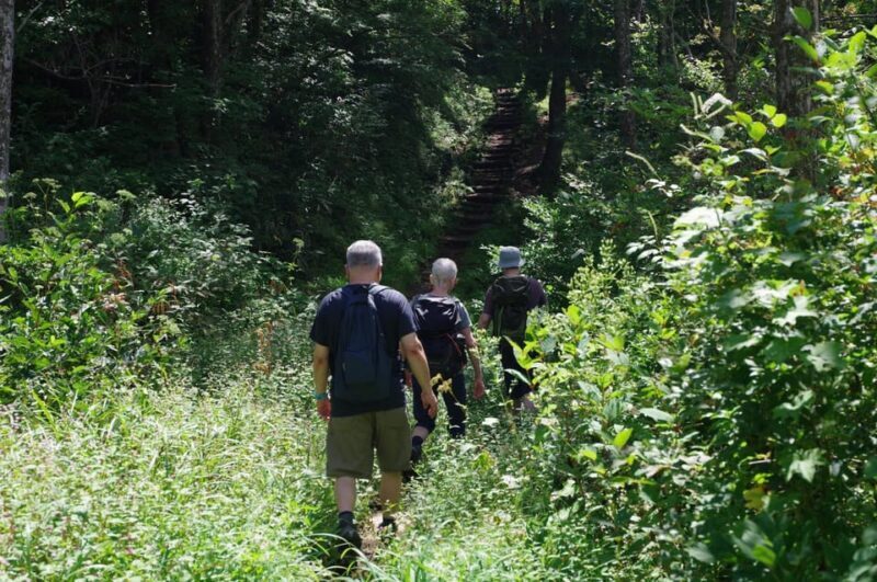 Togakushi: Sacred Forest Walk & Soba Traditions - Additional Experiences