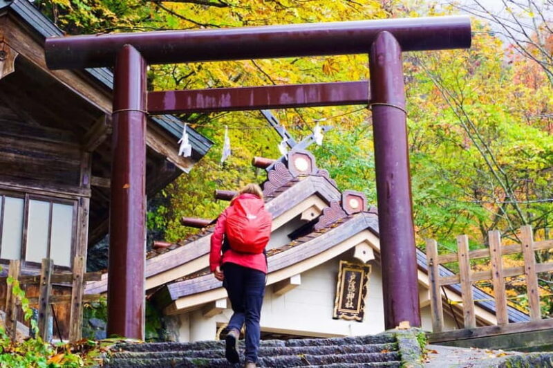 Togakushi: Sacred Forest Walk & Soba Traditions - Optional Add-Ons and Extras