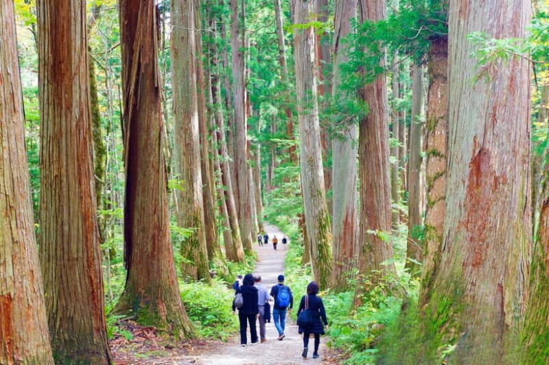 Togakushi: Sacred Forest Walk & Soba Traditions - Final Thoughts