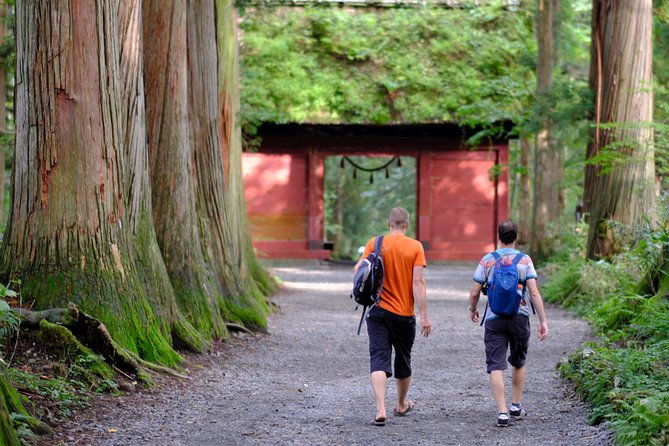 togakushi-shrine-hiking-trails-tour-with-soba-in-nagano-2