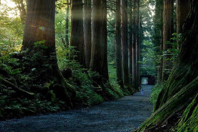 Togakushi Shrine Private Tour with English Local Guide - Exploring Nagano’s Hidden Gem: The Togakushi Shrine Private Tour