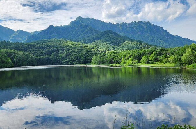 Togakushi Shrine Private Tour with English Local Guide - Final Thoughts: Who Will Appreciate This Tour?
