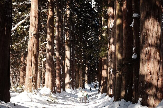 Togakushi Shrine Private Tour with English Local Guide - Frequently Asked Questions