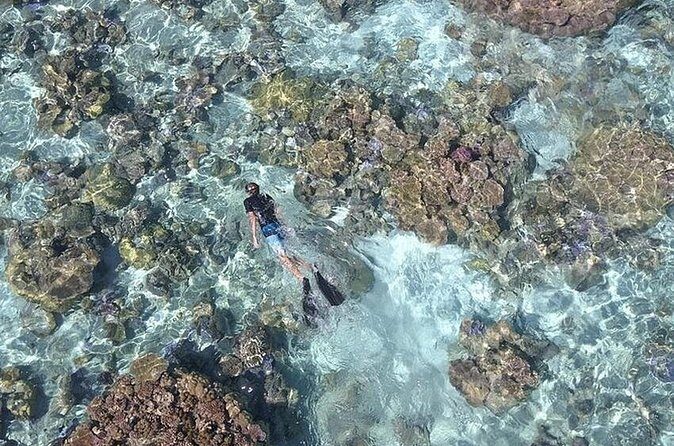 Tohora Bora Bora Snorkeling Lagoon Tours - The Sum Up