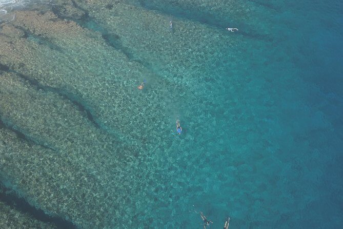 Tohora Bora Bora Snorkeling Lagoon Tours - The Sum Up