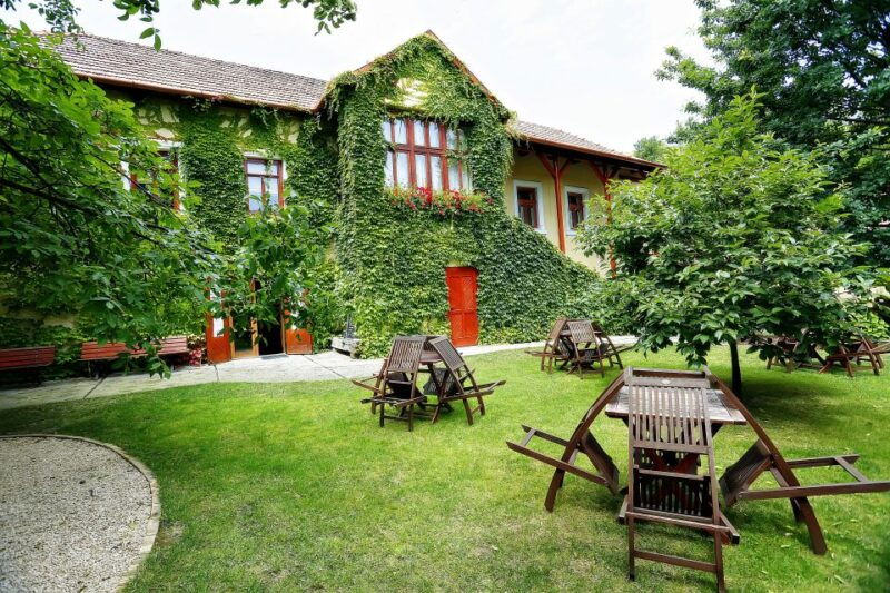 tokaj-classic-wine-tasting