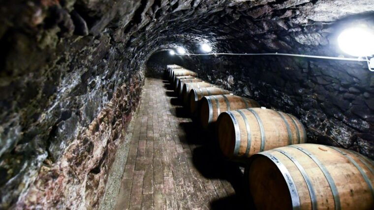 tokaj-classic-wine-tasting