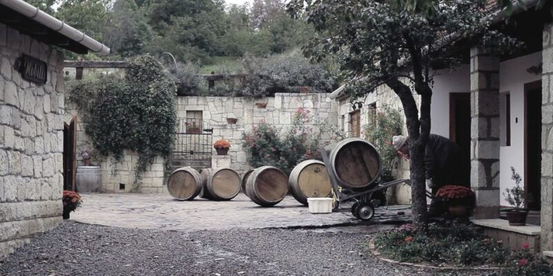 tokaj-private-day-tour-from-budapest