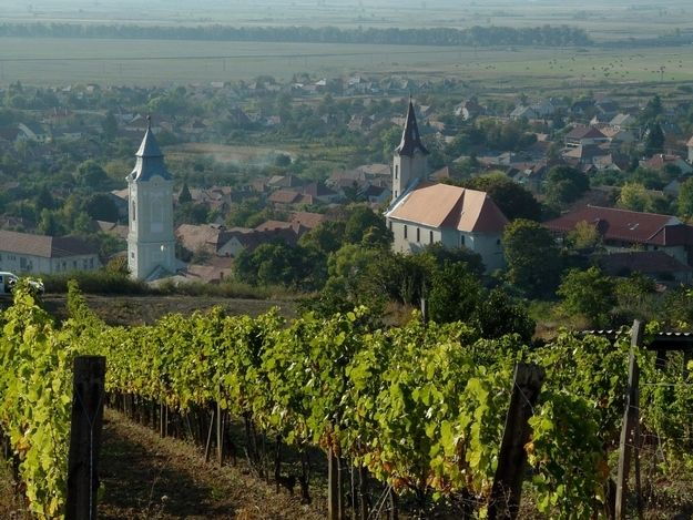 tokaj-private-day-tour-from-budapest