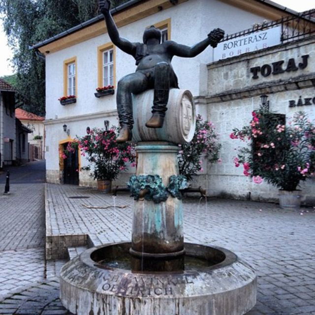 tokaj-private-day-tour-from-budapest