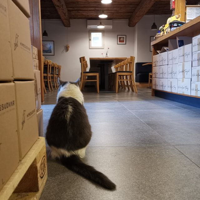 tokaj-vineyard-tour-tasting