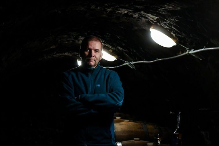 tokaj-vineyard-tour-tasting