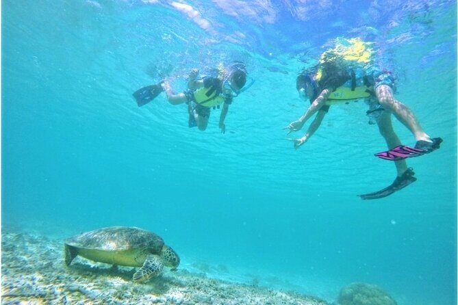 Tokashiki Island Day Trip from Naha - The Itinerary in Detail