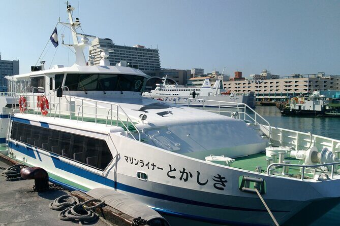 Tokashiki Island Day Trip from Naha - Final Thoughts