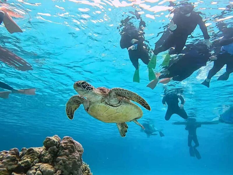 Tokashiki Tokashiku Beach: Banana Boat Snorkeling (No Ferry) - Introduction to the Experience