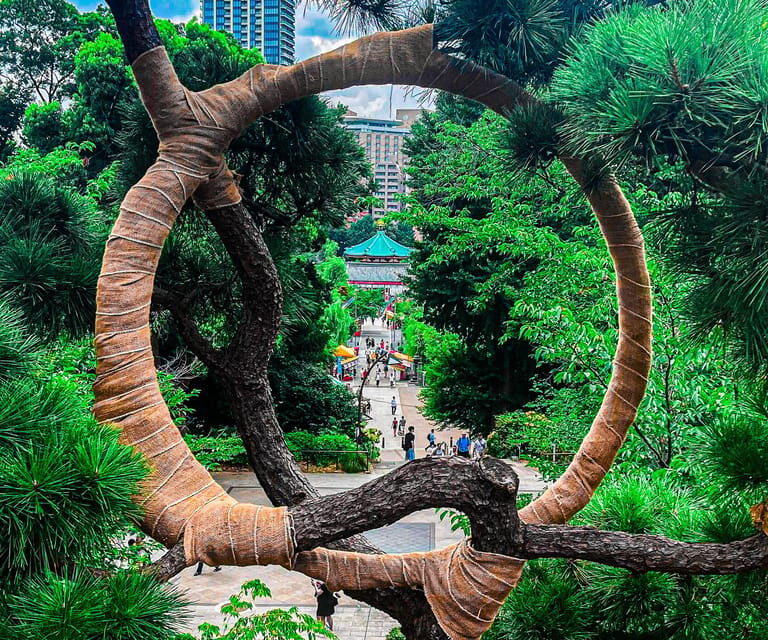 Tokio A: Tour de la ciudad en Español - Spanish - Exploring Tokyo with a Full-Day Guided Tour in Spanish