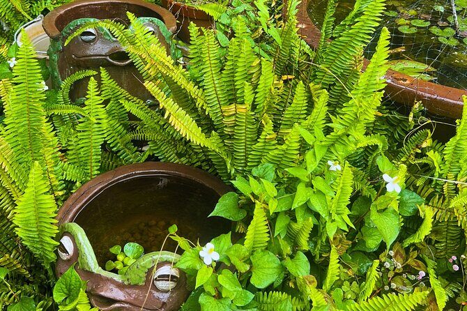 Tokoname 4.5 Hr Walking Tour Pottery Streets Kilns and Traditions - Practicalities and Value