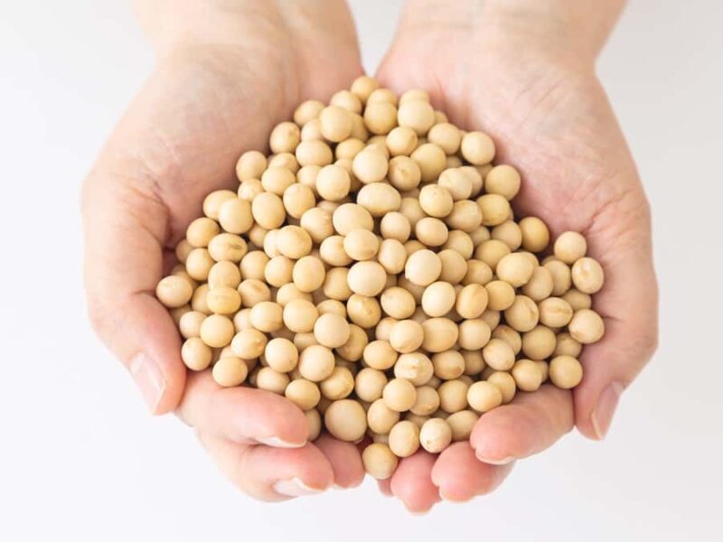 Tokoname: Miso Brewery Tour with Tasting - Key Points