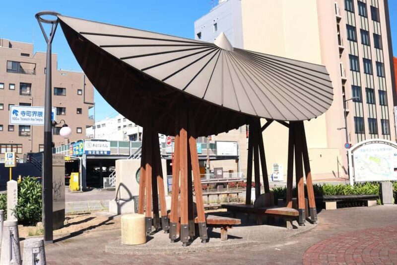 Tokushima: Awa Odori Cultural Experience & Live Performance - Key Points