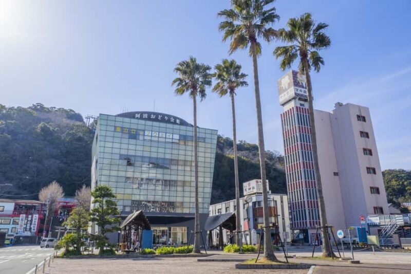 Tokushima: Awa Odori Cultural Experience & Live Performance - Transportation, Timing, and Practicalities