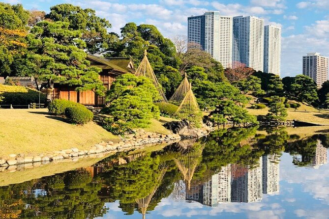 tokyo-1-day-bus-tour-hotel-pick-up-and-drop-off-japan-gray-line