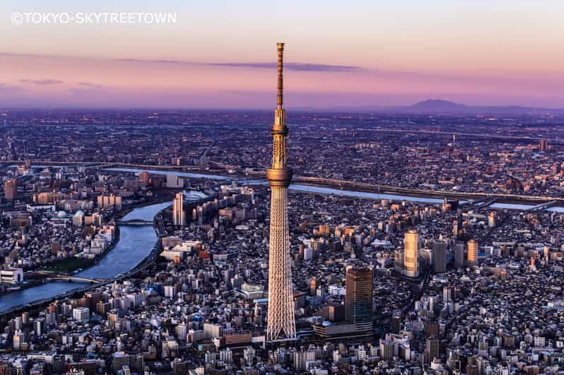 tokyo-1-day-bus-tour-with-meiji-jinguodaibalunchskytree