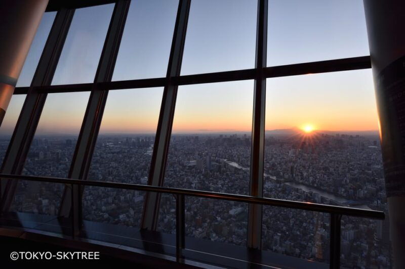 tokyo-1-day-bus-tour-with-meiji-jinguodaibalunchskytree