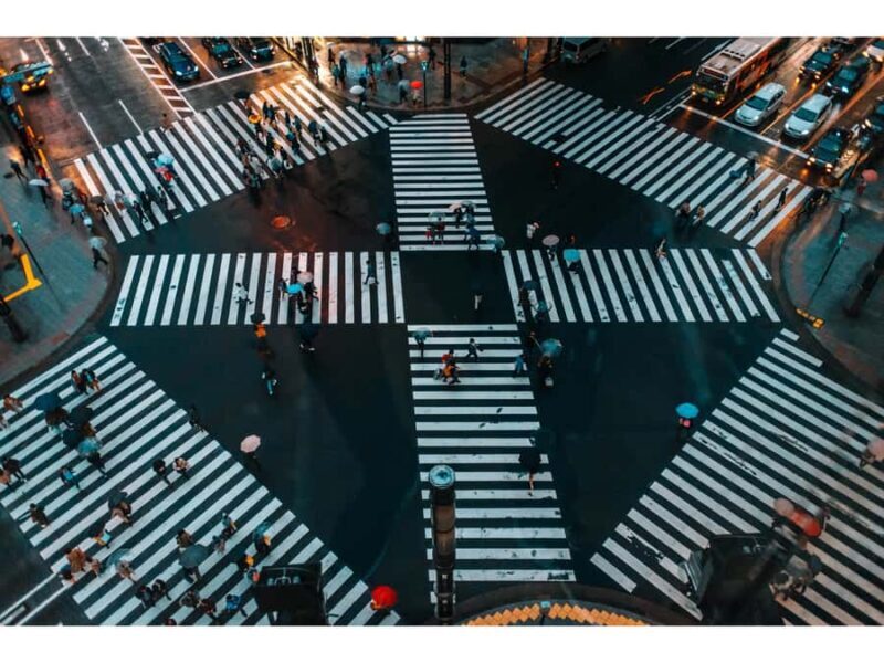 Tokyo: 1-Day Private City Tour with English-speaking Driver - Key Points