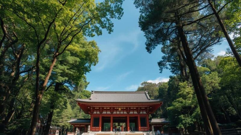 Tokyo: 1-Day Private City Tour with English-speaking Driver - Who Would Love This Tour?