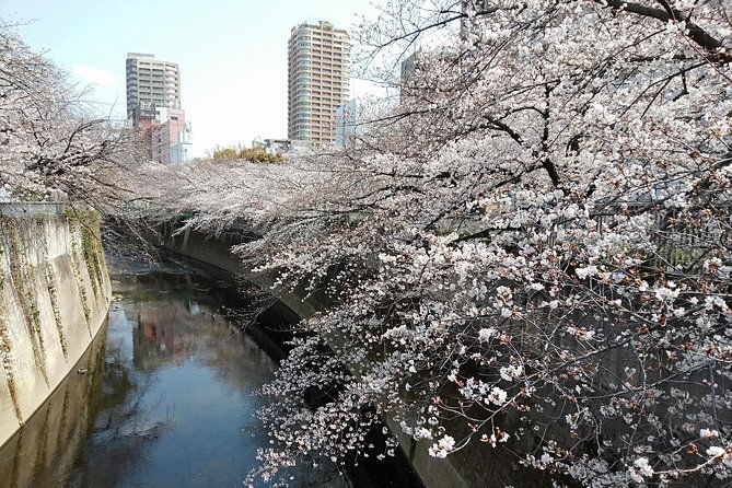 tokyo-1-day-private-tour-customization-hotel-gathering-ok