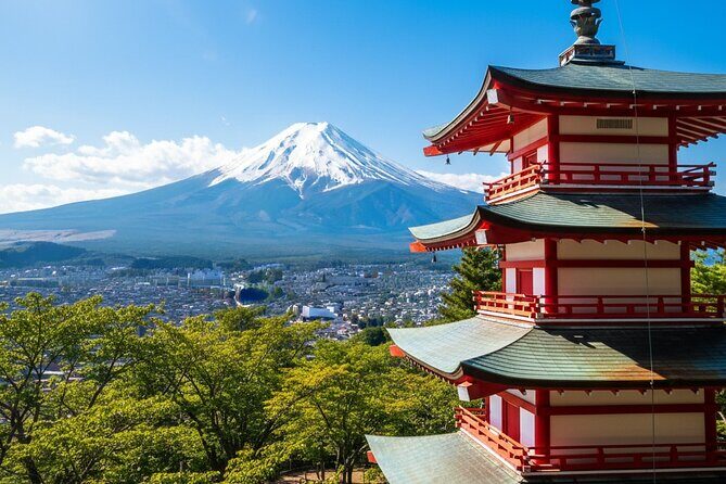 Tokyo 10 Hour Arakurayama Sengen Park & Lake Ashi Private Tour - An In-Depth Look at the Tour Experience