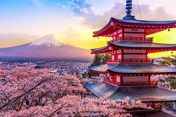 Tokyo 10 Hour Arakurayama Sengen Park & Lake Ashi Private Tour - Final Thoughts