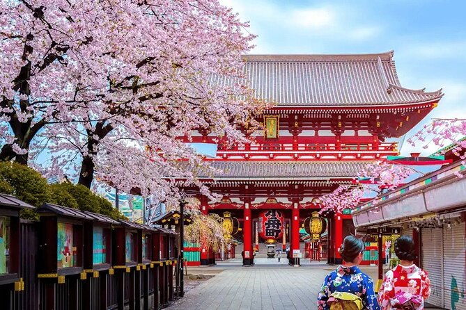 tokyo-10-hour-customizable-private-tour