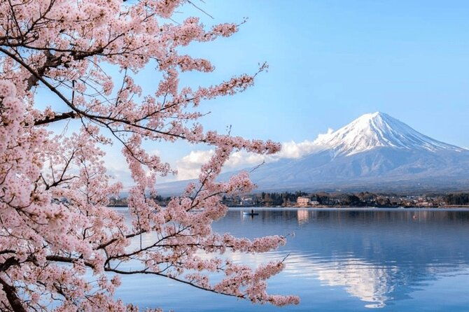 tokyo-10-hour-customizable-private-tour